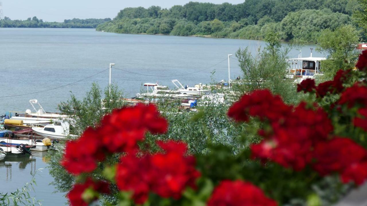 B&B Posejdon Сремська Митровиця Екстер'єр фото